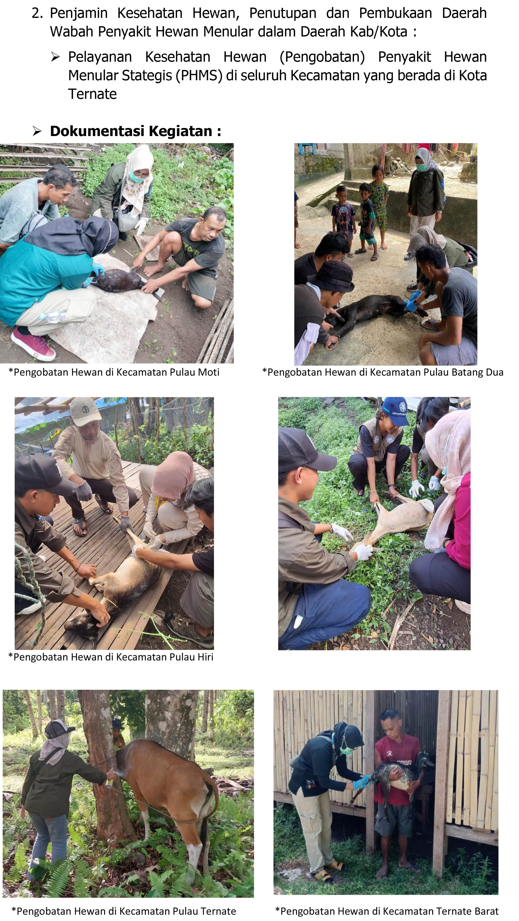 PROFILING BIDANG PETERNAKAN-4.jpg